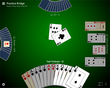 Trickster Bridge